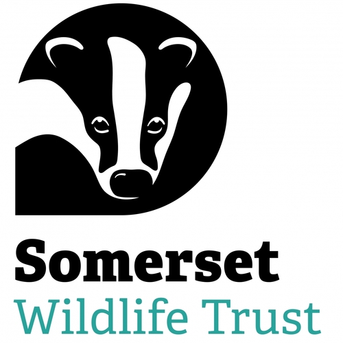 Somerset Wildlife Trust Logo